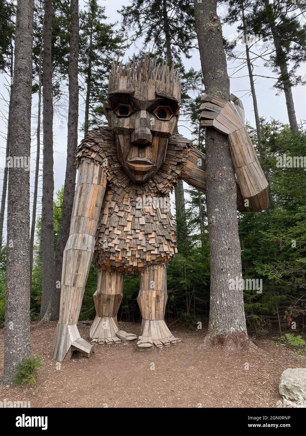 Roskva is one of the five trolls in the Coastal Botanical Gardens in Boothbay, Maine. She represents the trunk of the tree. The artist is Thomas Dambo, and he makes—all from recycled materials— the head, hands, and feet in his studio in Copenhagen, Denmark. He then ships them to wherever they are going in the world. Once in their “home”, recycled materials are gathered to make the bodies. For the Maine Gardens, about 750 palettes were used. Stock Photo