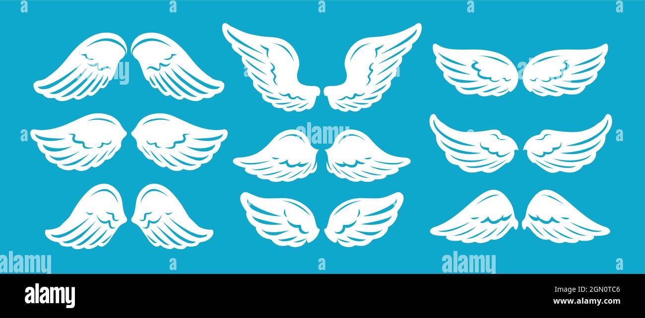 Set of hand drawn bird or angel wings of different shape. Vector illustration Stock Vector