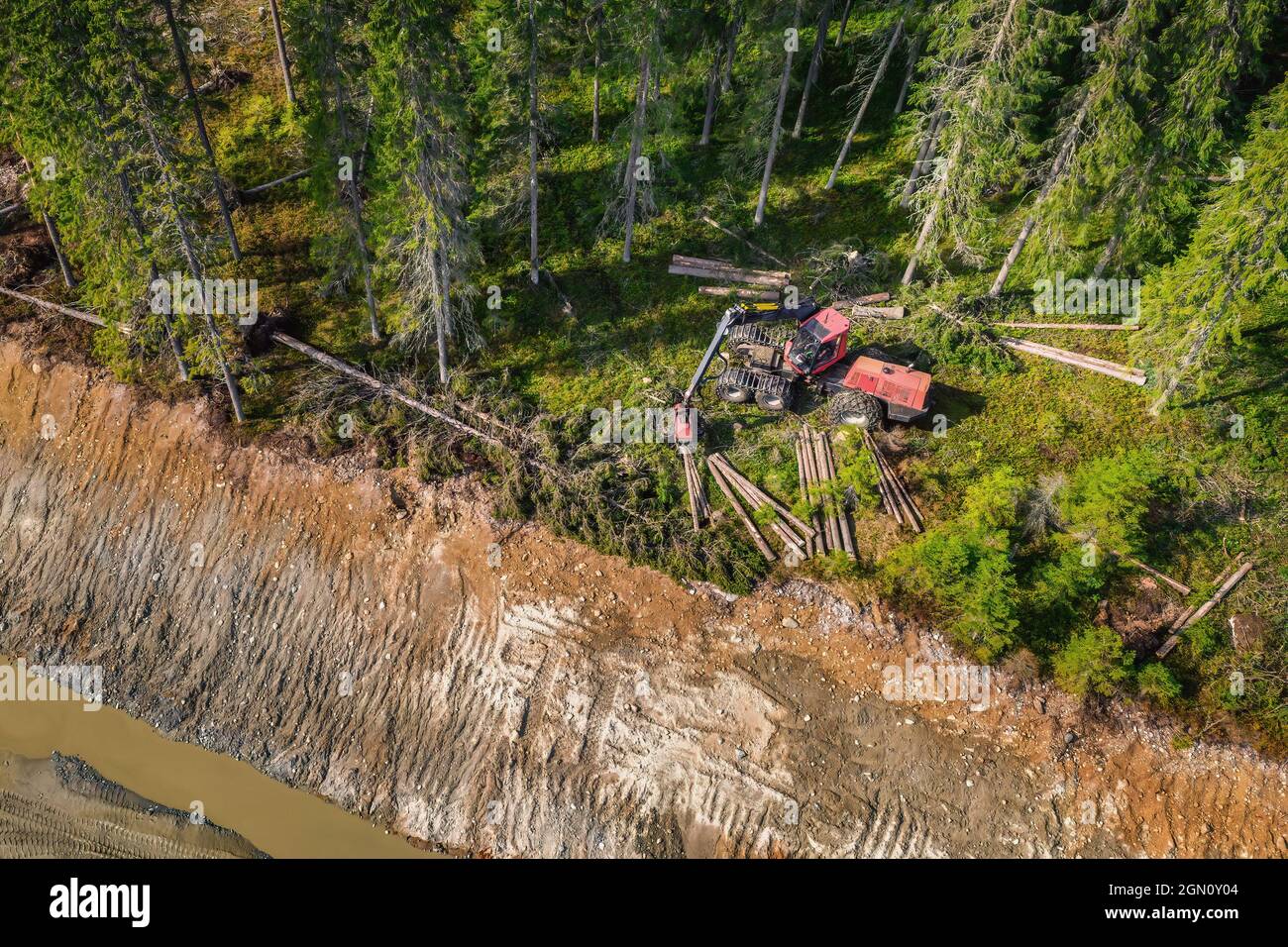 Forest harvester storing together cut timber, fully automatic machine in forest, top down aerial photo Stock Photo