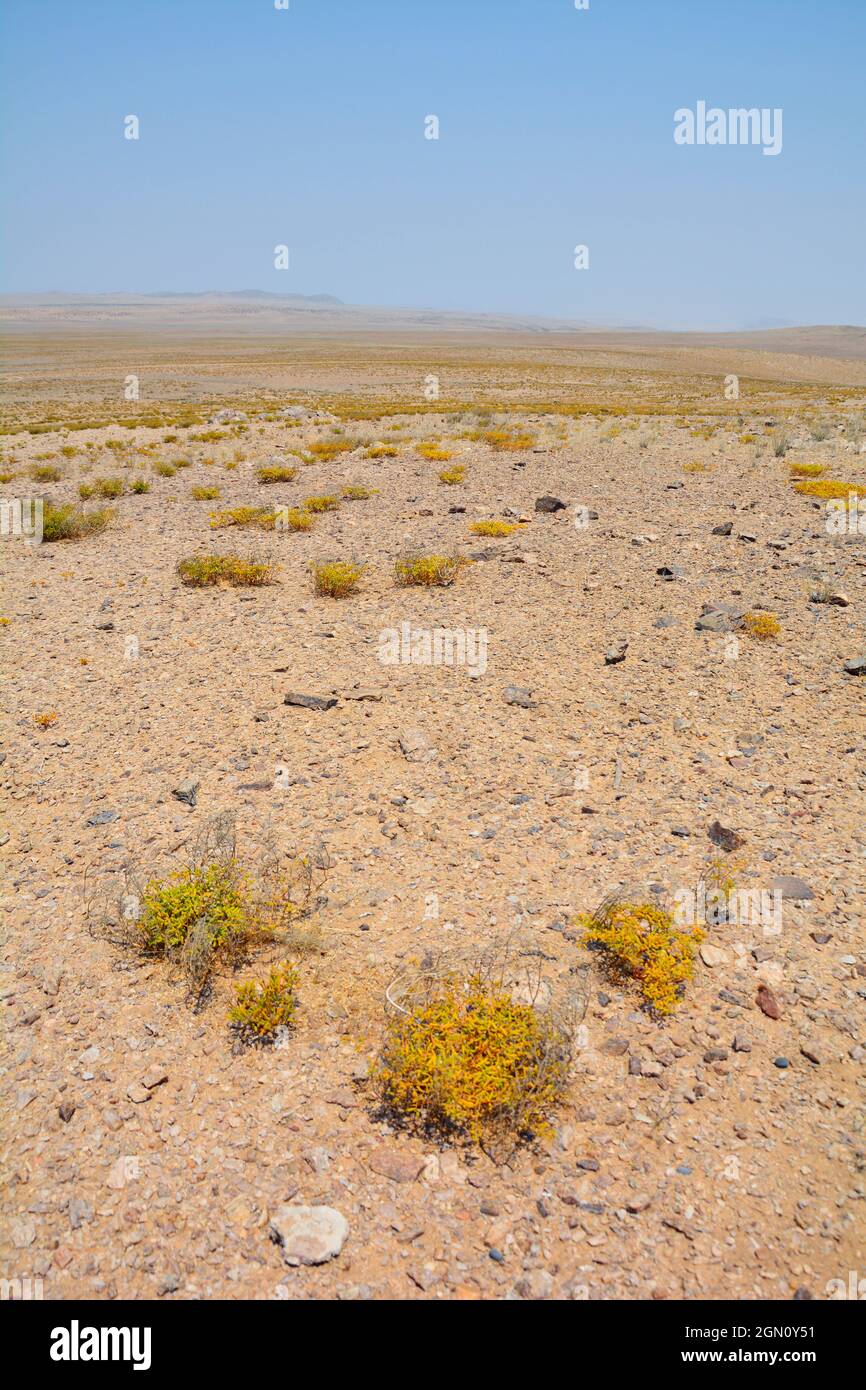 Angola; in the southern part of Namibe Province; northern part of the Namib Desert; Iona National Park; Endless gravel plain with little vegetation Stock Photo