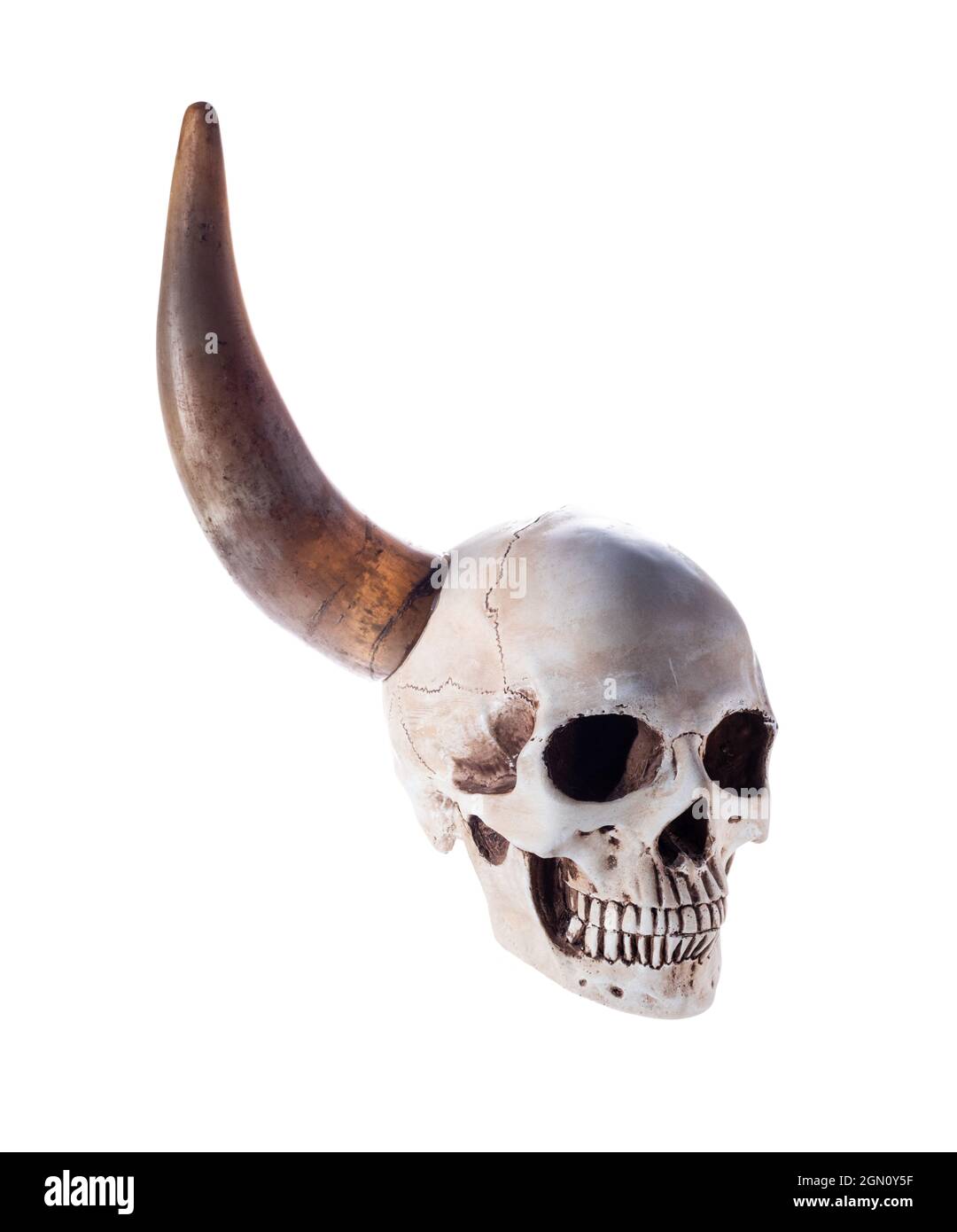 One-horned skull on a white background. Human skull with one horn. Side ...