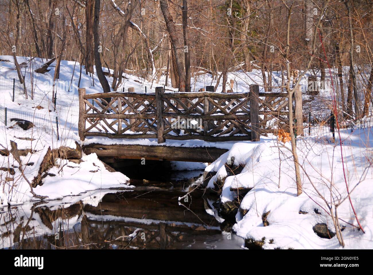 The wooden bridge in the magic snowy scenery in Central Park Stock ...