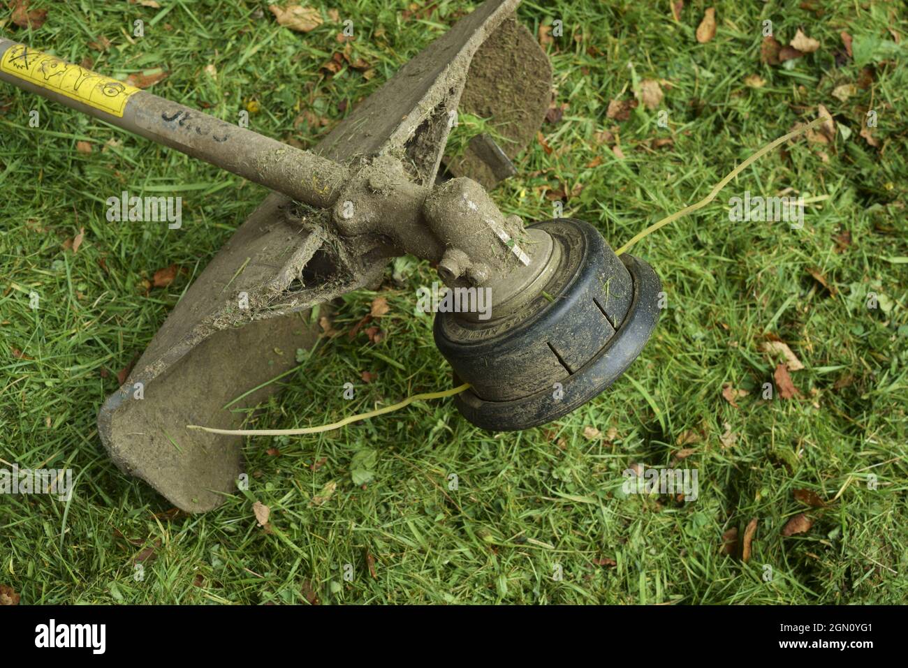 A garden strimmer with grass cuttings. Stock Photo