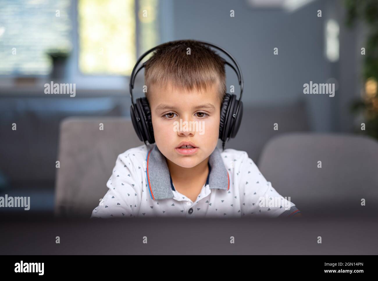 Schoolboy using laptop for studying Stock Photo