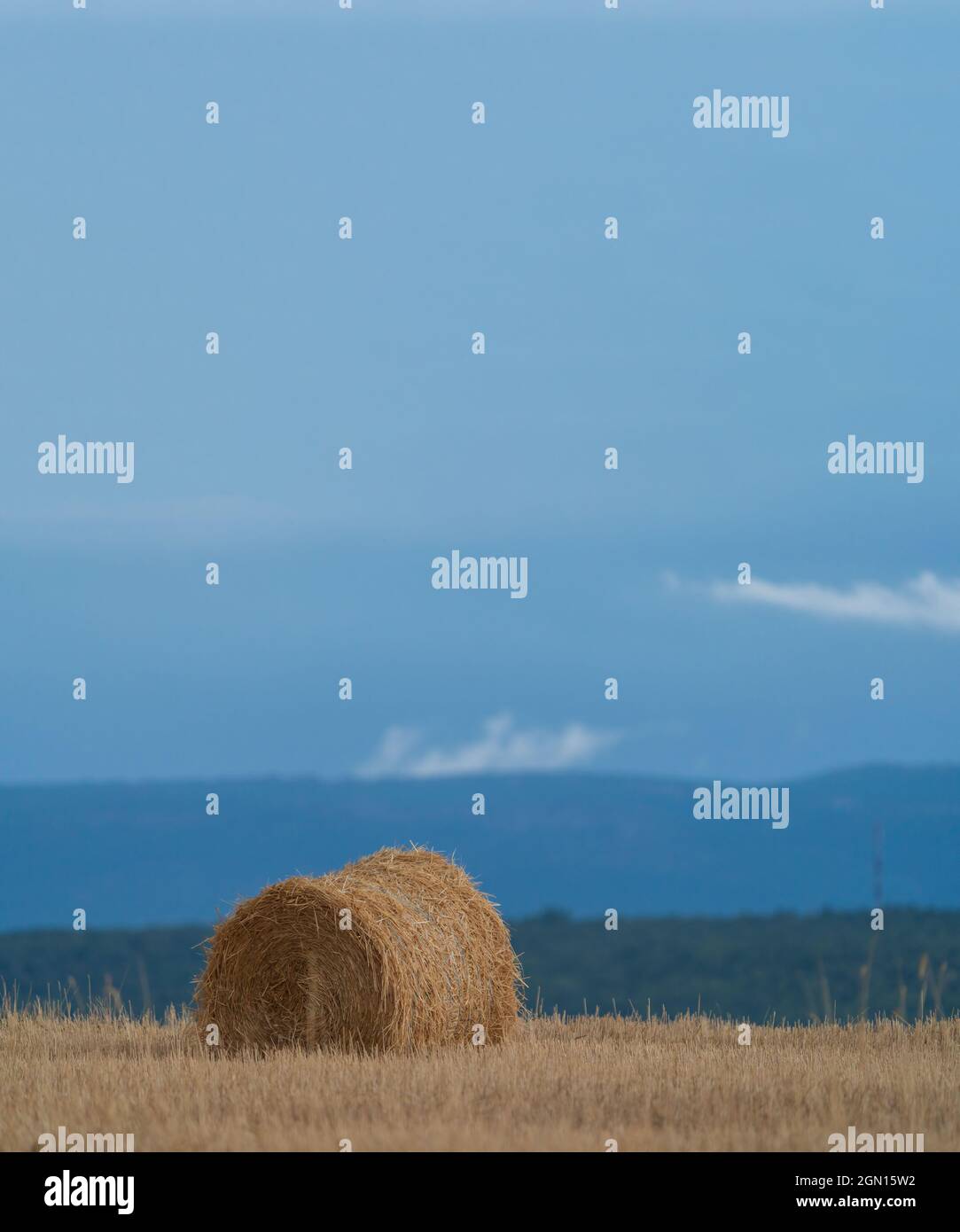 Ball of straw under the clear sky Stock Photo