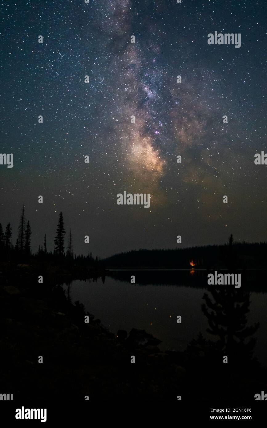 Vertical shot of a lake surrounded by trees under a starry sky Stock ...
