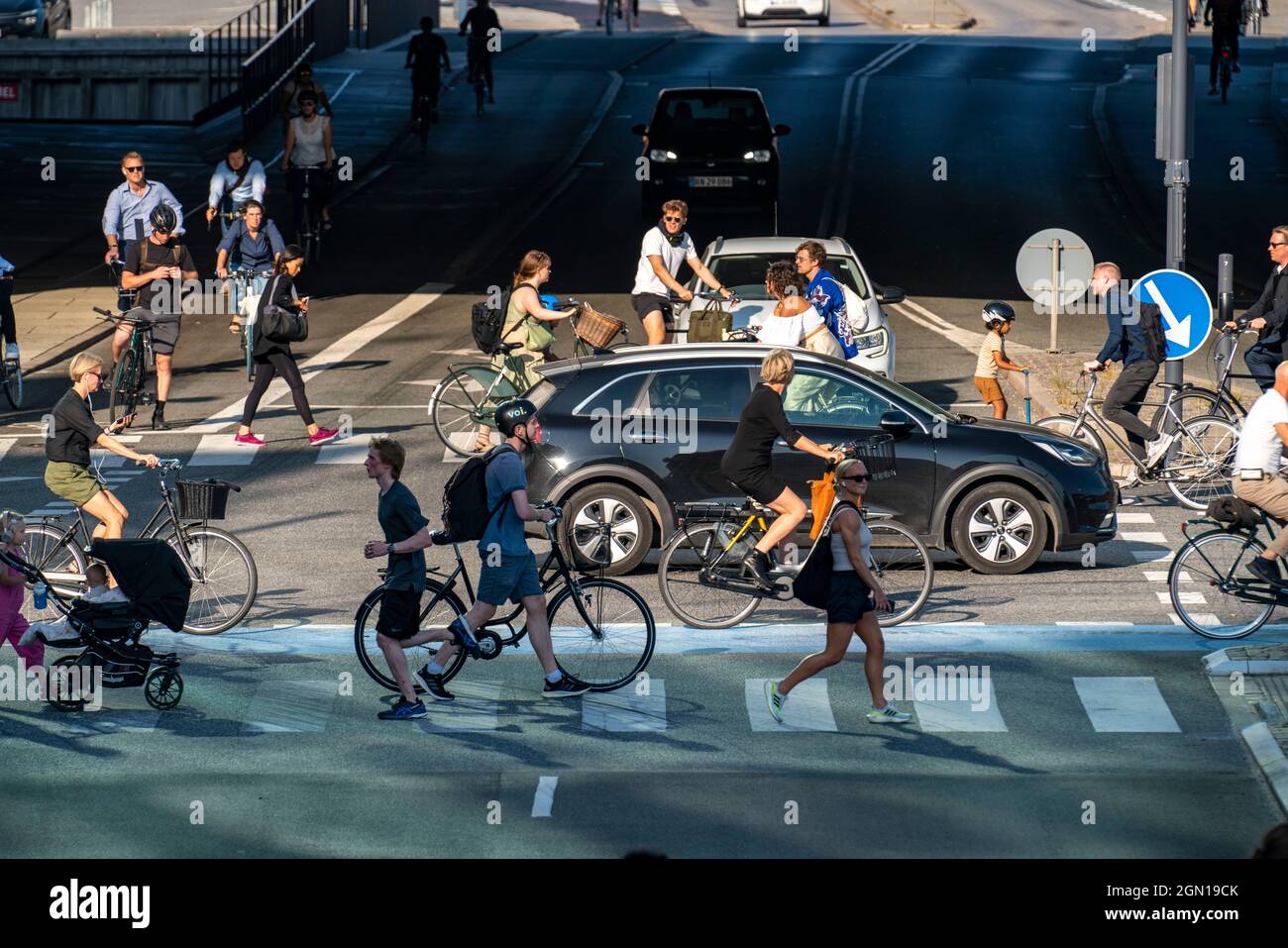 Cyclists on cycle paths, on Vester Voldgade Street, in downtown Copenhagen, considered the cycling capital of the world, 45% of residents make their j Stock Photo
