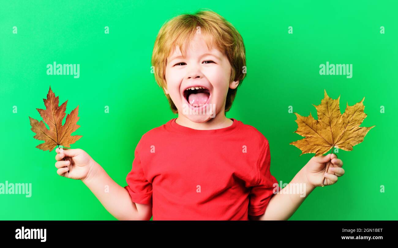 Happy Autumn child boy with maple leaf. Smiling kid with Yellow leafs. Autumnal mood. Stock Photo