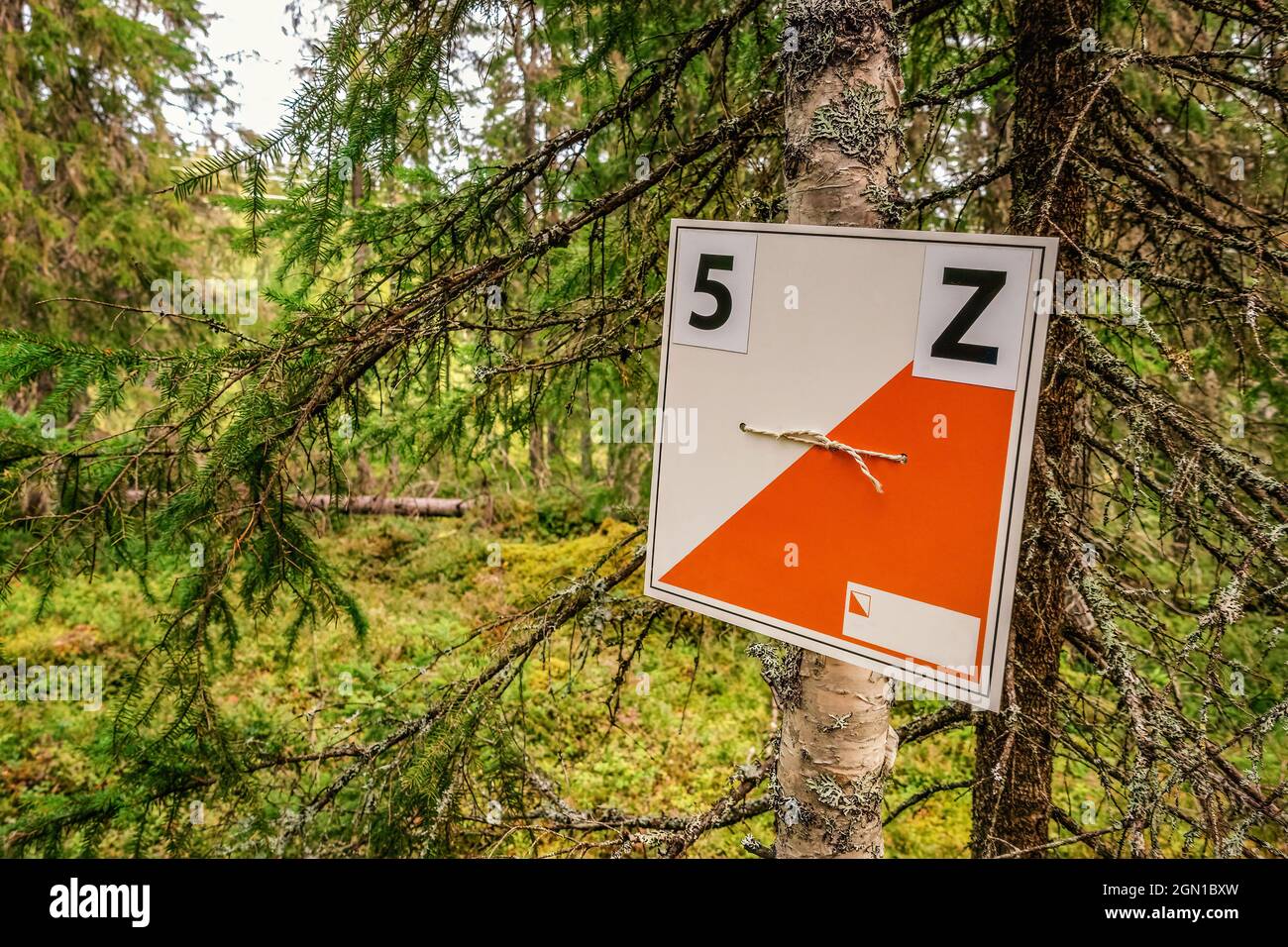Orienteering check point activity, close up photo Stock Photo