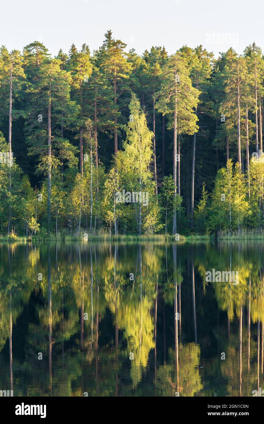Peaceful water river hi-res stock photography and images - Alamy