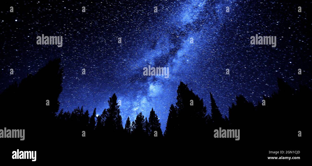 Milky Way in night sky with forest silhouette by stars Stock Photo - Alamy