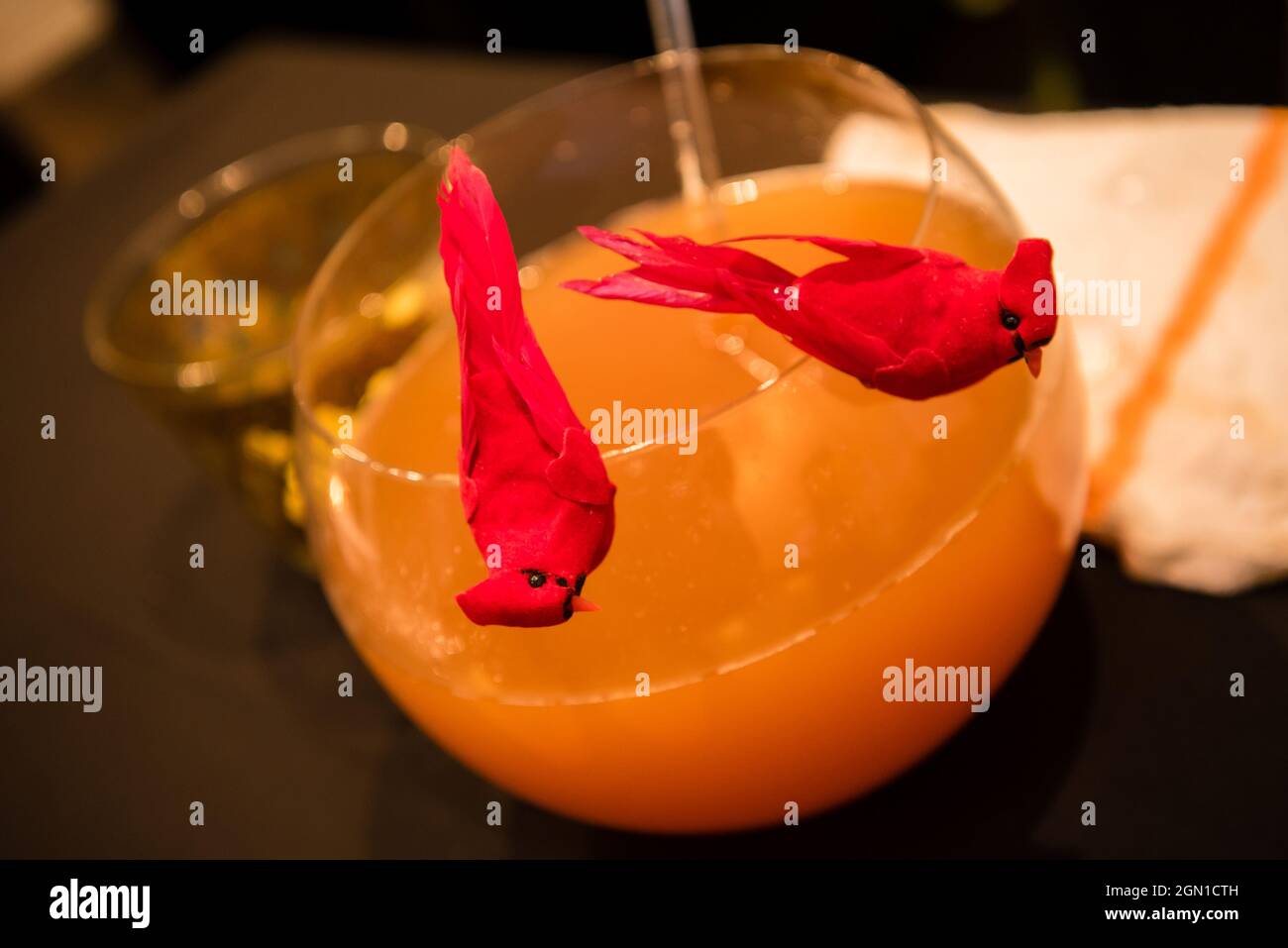 Orange citrus alcohol bowl with red cardinals. Close up Stock Photo