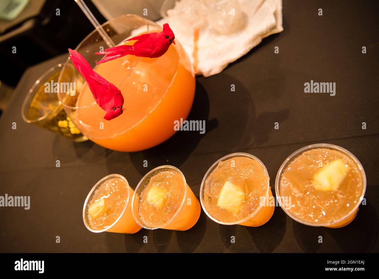 Orange citrus alcohol drinks with red cardinals sitting on the serving bowl. Stock Photo