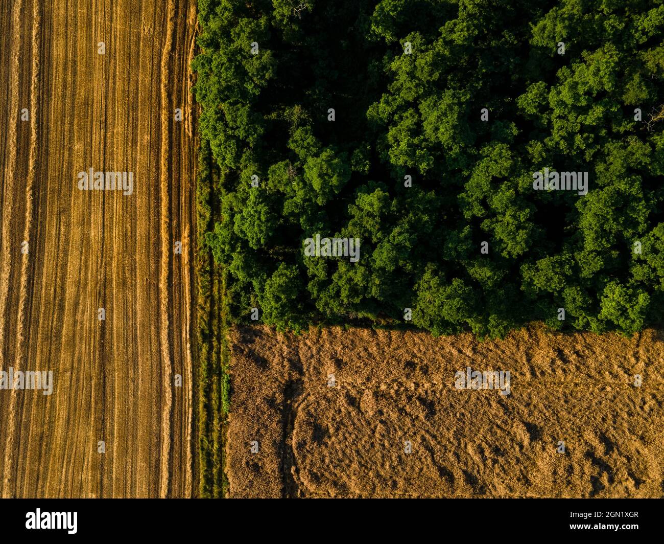 Earth trees aerial view hi-res stock photography and images - Alamy