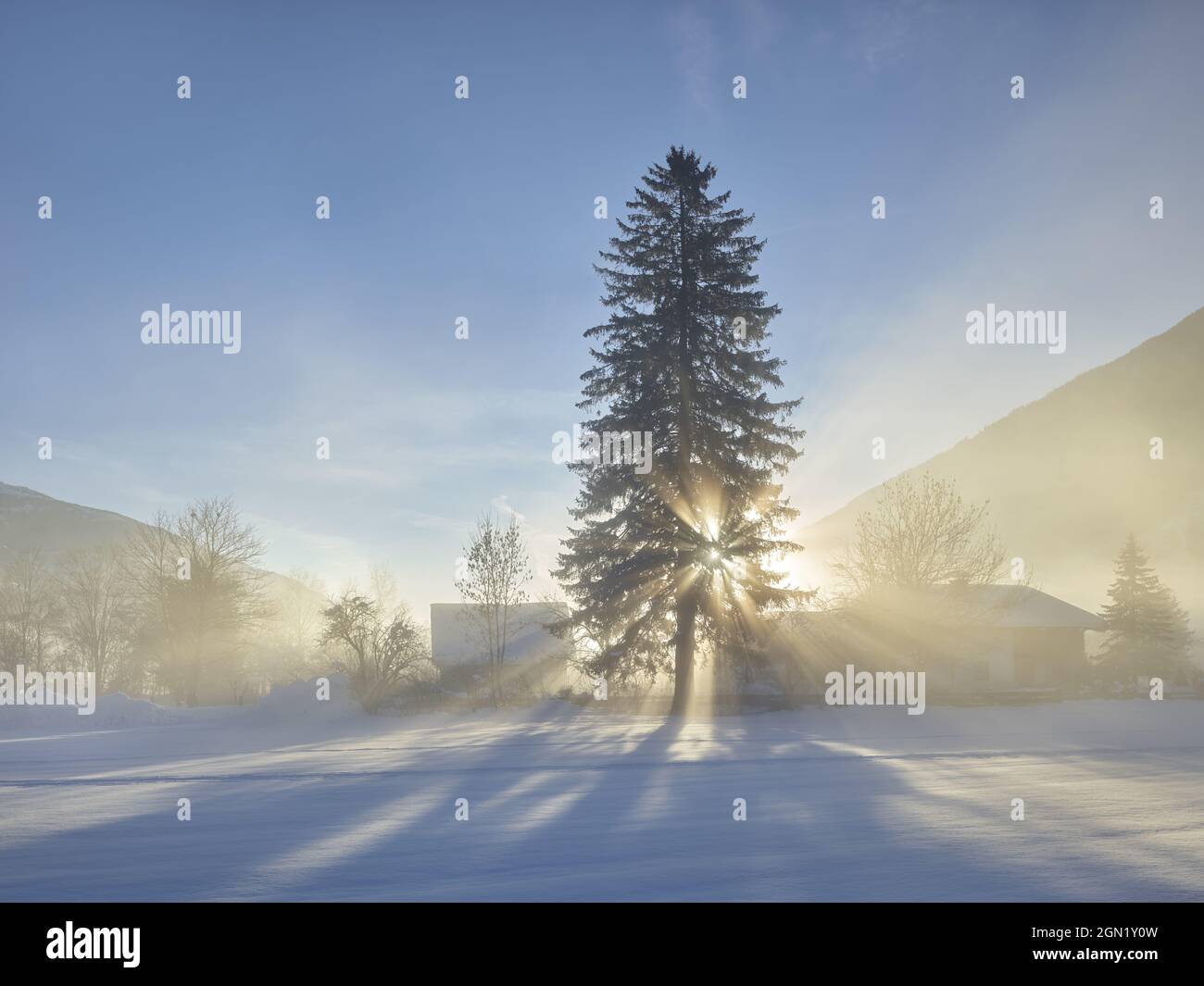 Morning sun and fog hi-res stock photography and images - Alamy