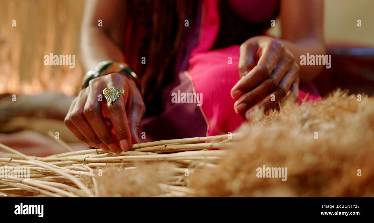 Hand of an African woman who is taking dry plant Stock Photo