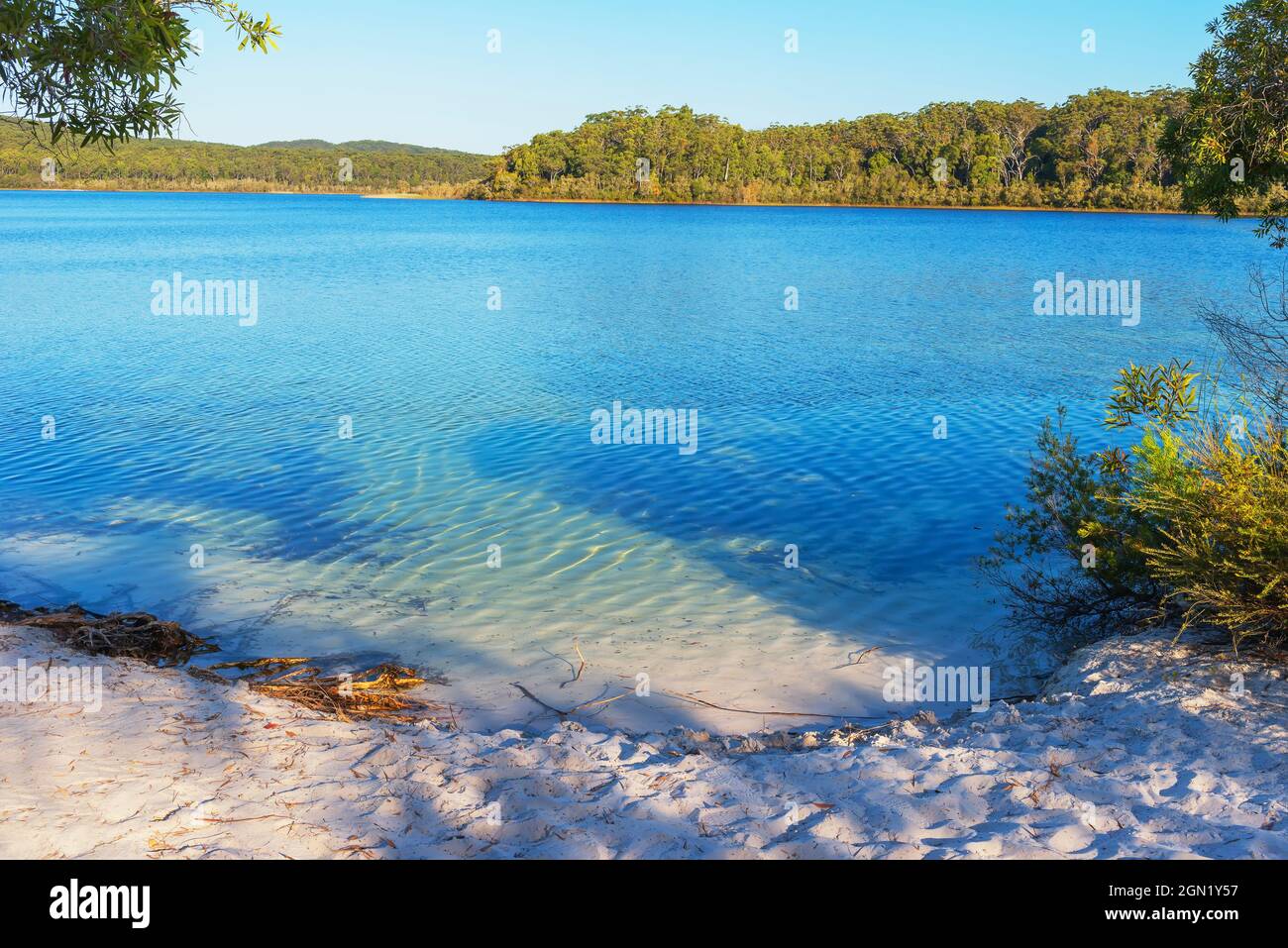 McKenzie Lake, Fraser Island, Queensland, Australia, Stock Photo