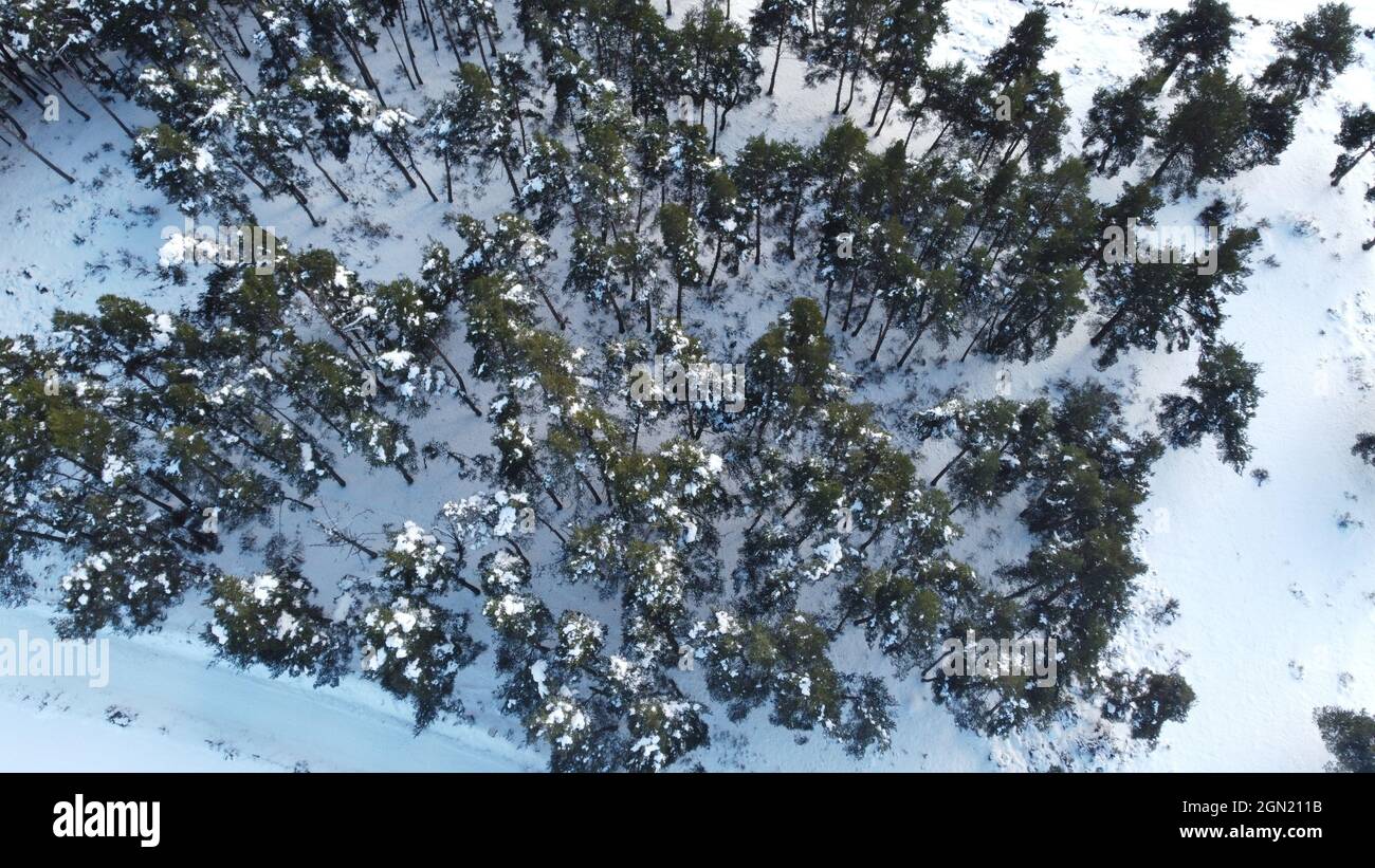 Aerial view of a snowy mountain forest Stock Photo - Alamy