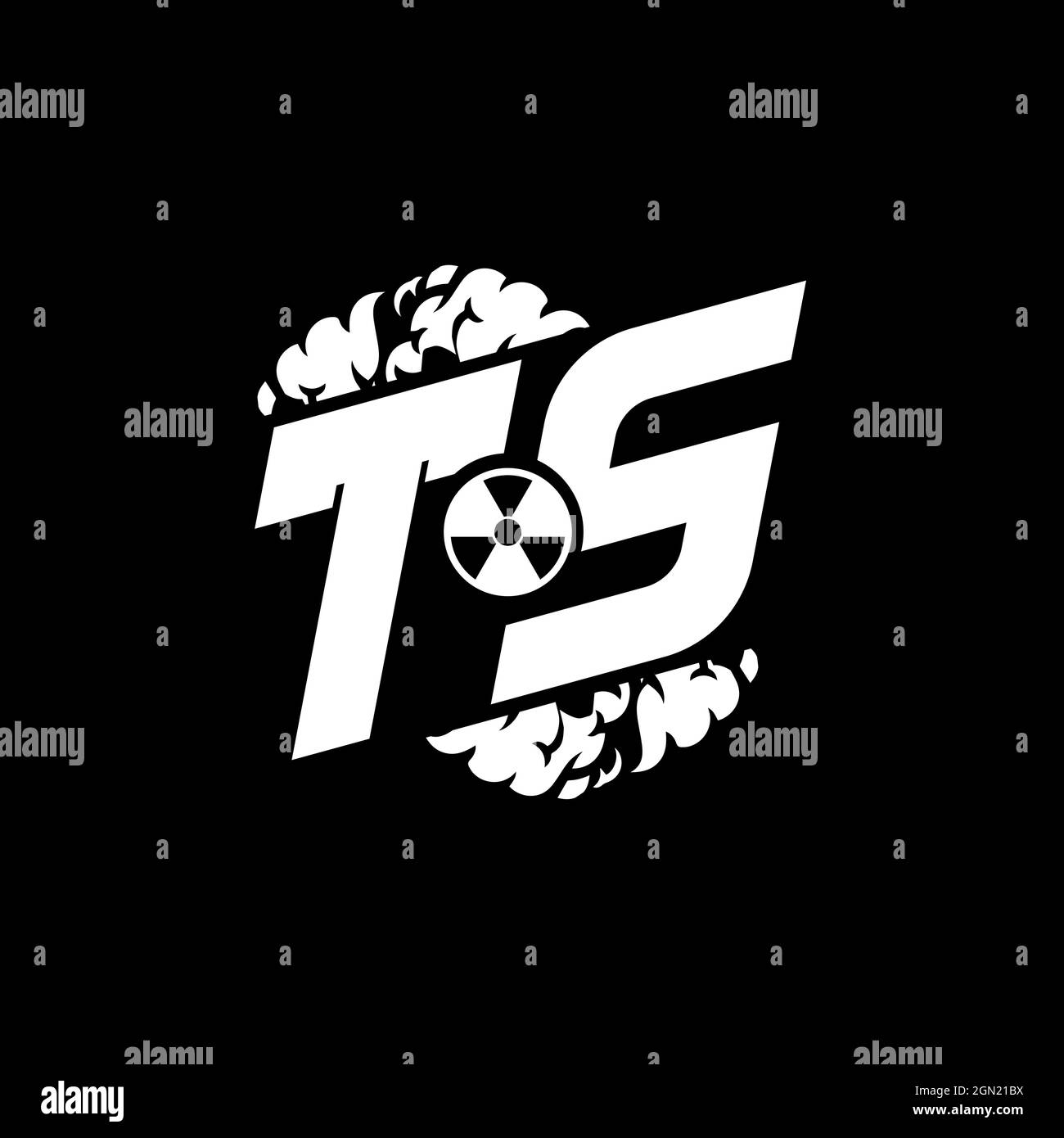 TS Initial ESport Monogram with Shape and Smoke Style template vector Stock Vector