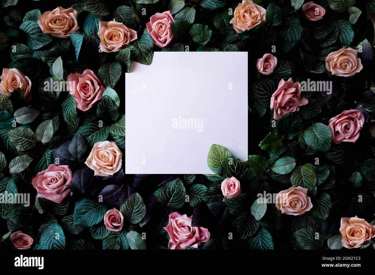 Beautiful colorful floral background with roses and square paper space ...