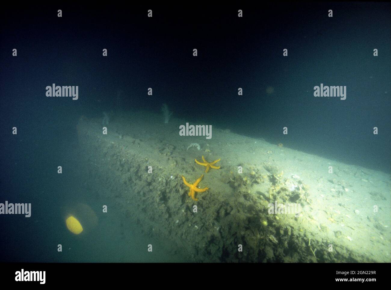 Forward casing of AE2, Stoker’s submarine, scuttled on April 30, 1915 ...