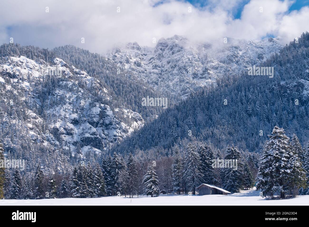 The summit of the wintry Hohen Kisten in Wolken, Eschenlohe, Bavaria,  Germany Stock Photo - Alamy
