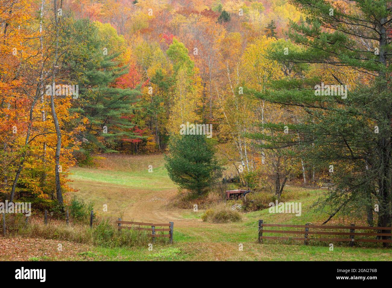 Path leading into autumn foliage, Newry, Maine Stock Photo