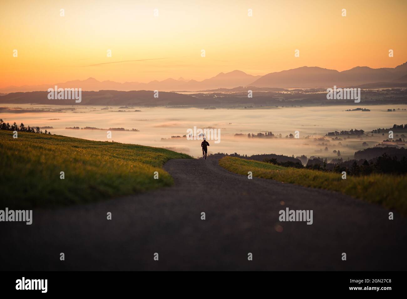 Runners on an empty path in the morning hours, running, sports, general