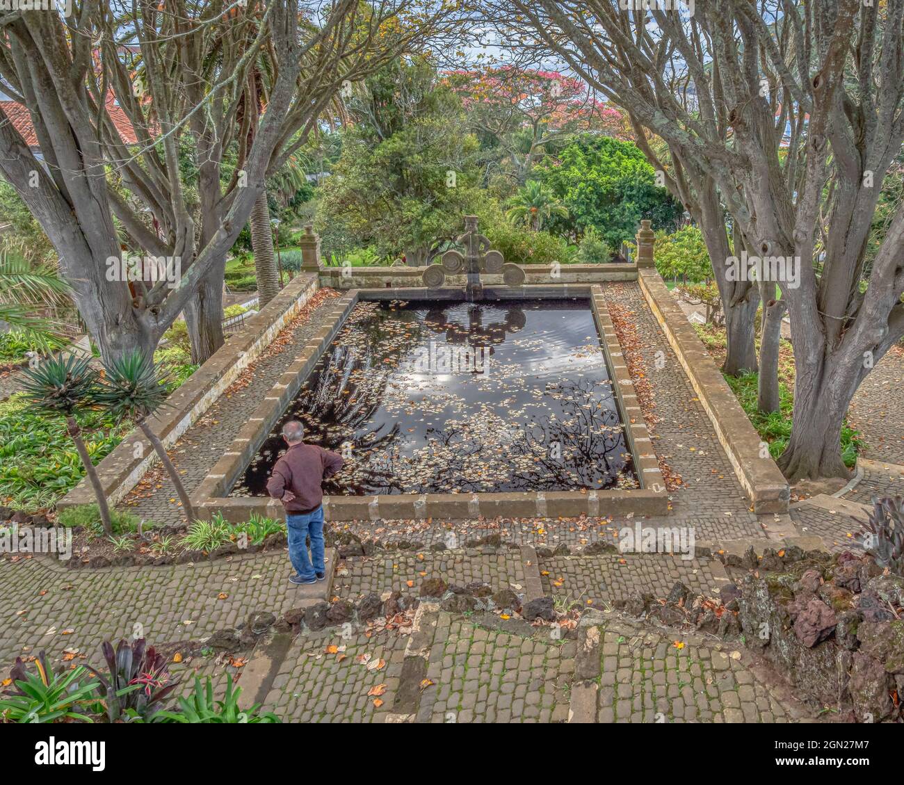 A man stands looking at a shaded pool with a fountain in the historic Duke of Terceira Garden (Jardim Duque da Terceira) in Angra do Heroismo on Terce Stock Photo