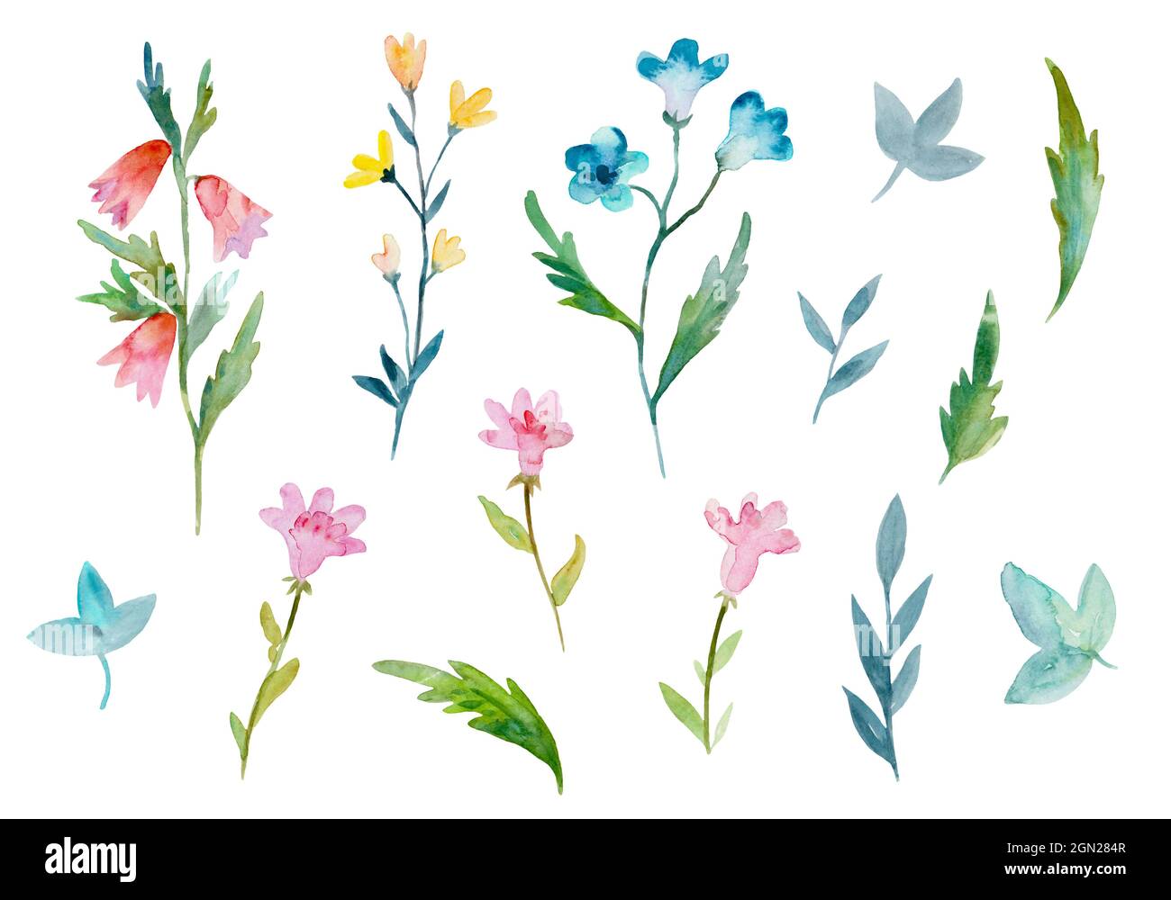 Set of delicate cute simple watercolor plants and flowers isolated on