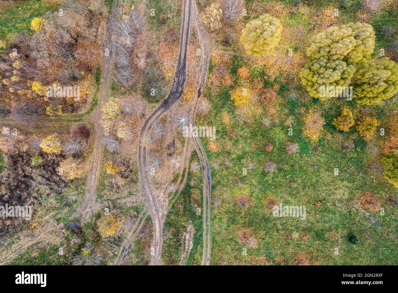 dirt road through the meadow and autumn trees with colorful autumnal foliage. aerial overhead view. Stock Photo