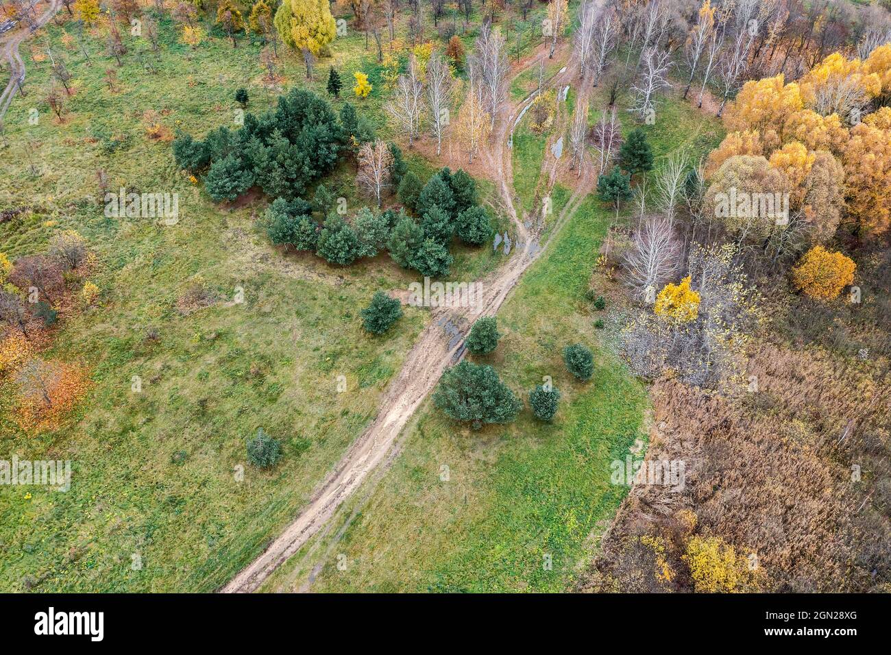 dirt road through an autumn landscape with green field and colorful autumnal trees. aerial drone photo Stock Photo