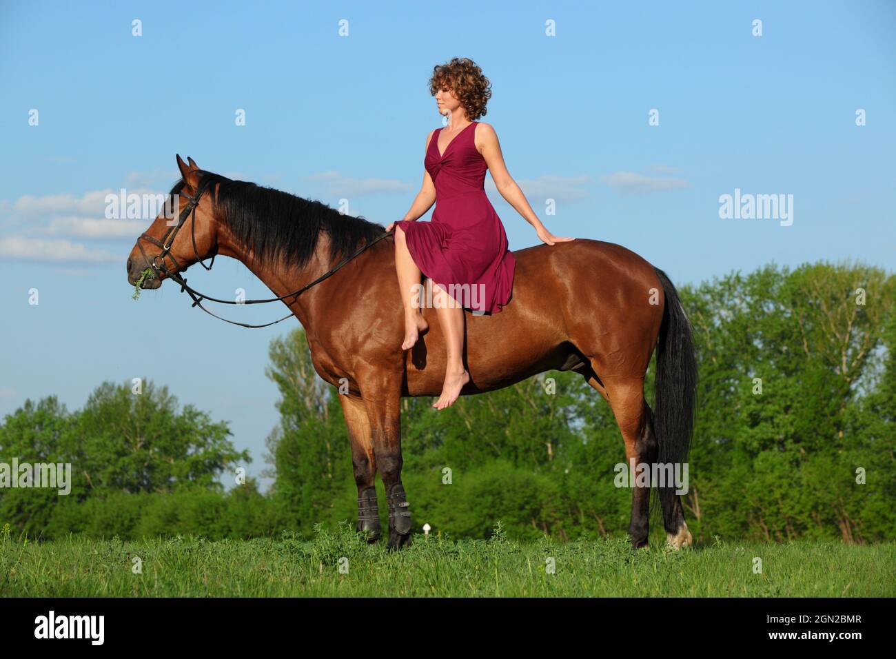 Equestrian woman in the red dress riding horse in summer nature Stock Photo