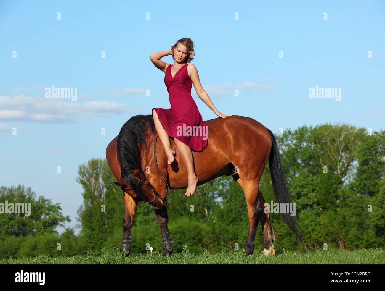 Equestrian woman in the red dress riding horse in summer nature Stock Photo