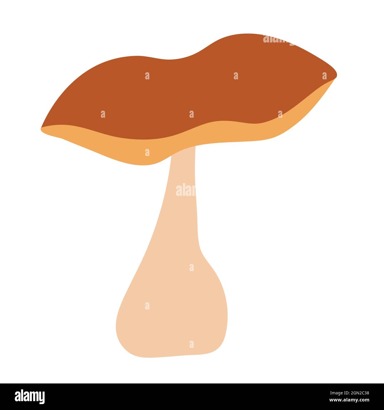 Noble white mushroom on an isolated background. Delicious mushrooms. Autumn couple. Logo, badge or flyer design. Flat illustration. Stock Vector