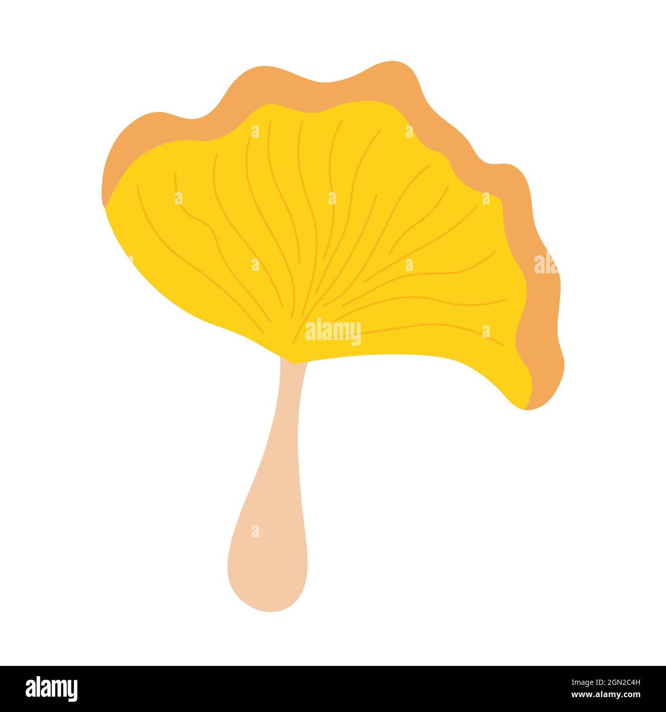 Yellow chanterelle mushroom on an isolated background. Autumn couple. Logo, badge or flyer design. Flat illustration. Stock Vector