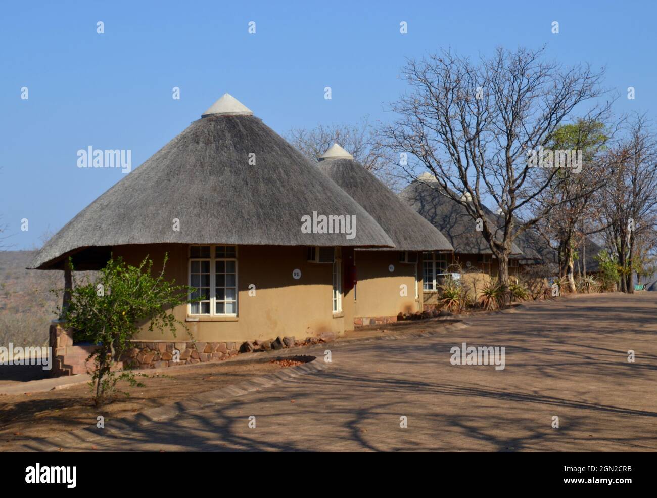 Row of traditional thatched roof rondawels or cottage huts in Olifants rest camp in the wilderness of South Africa's Kruger National Park game reserve Stock Photo