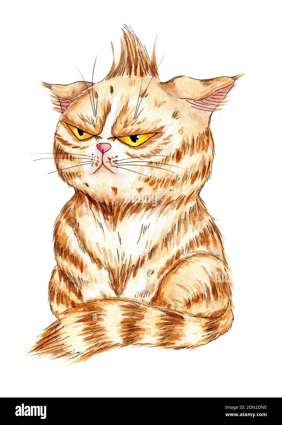 Watercolor illustration of an angry ginger cat. A kitten with