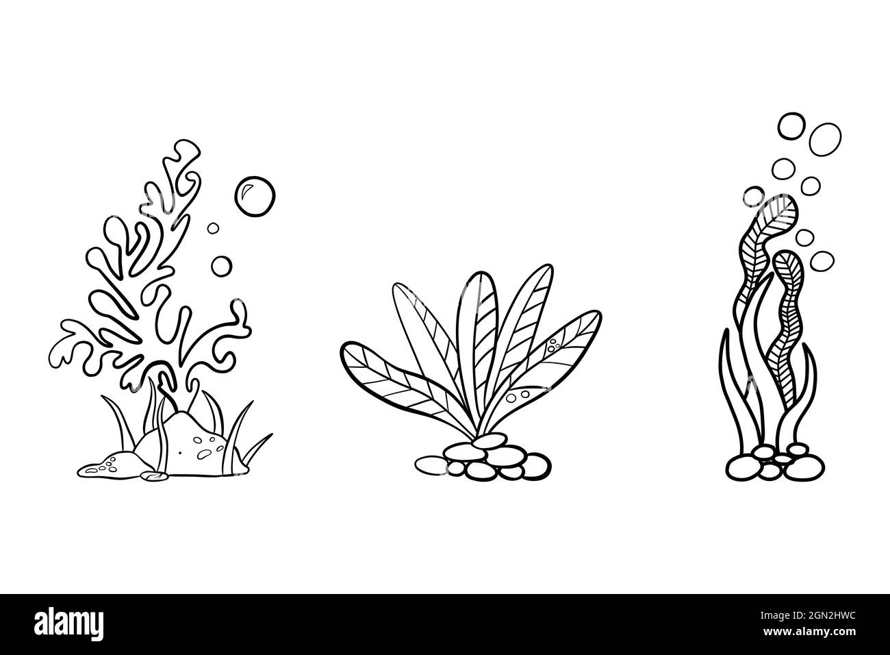 Hand drawn doodle of Underwater seaweed, aquarium Stock Vector Image