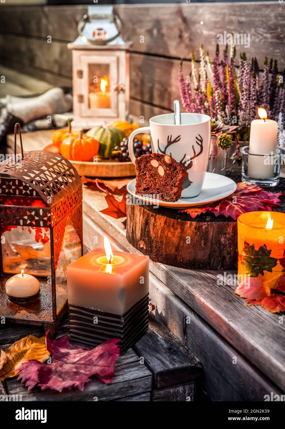 Beautiful autumn terrace decoration with pumpkins, lantern, plants and flowers Stock Photo