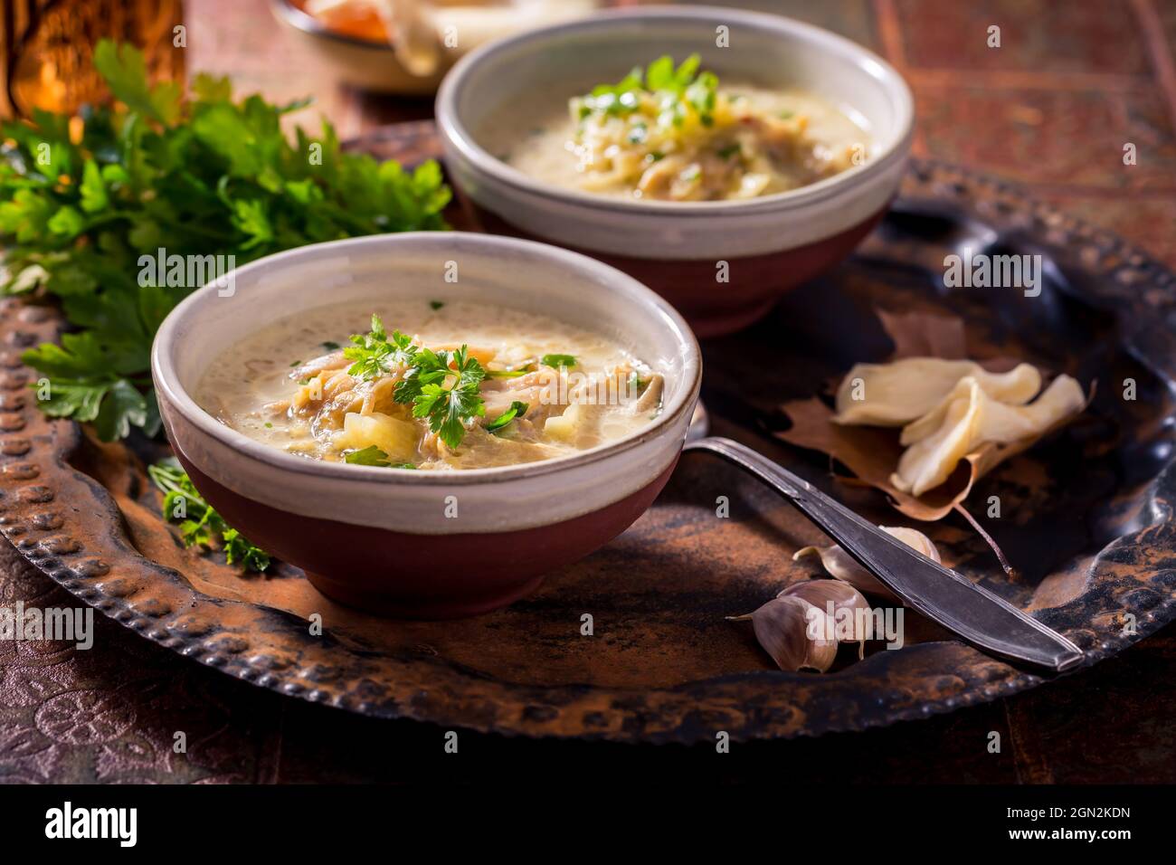 Vegan cabbage soup with oyster mushrooms with vegetables  on old kitchen table Stock Photo