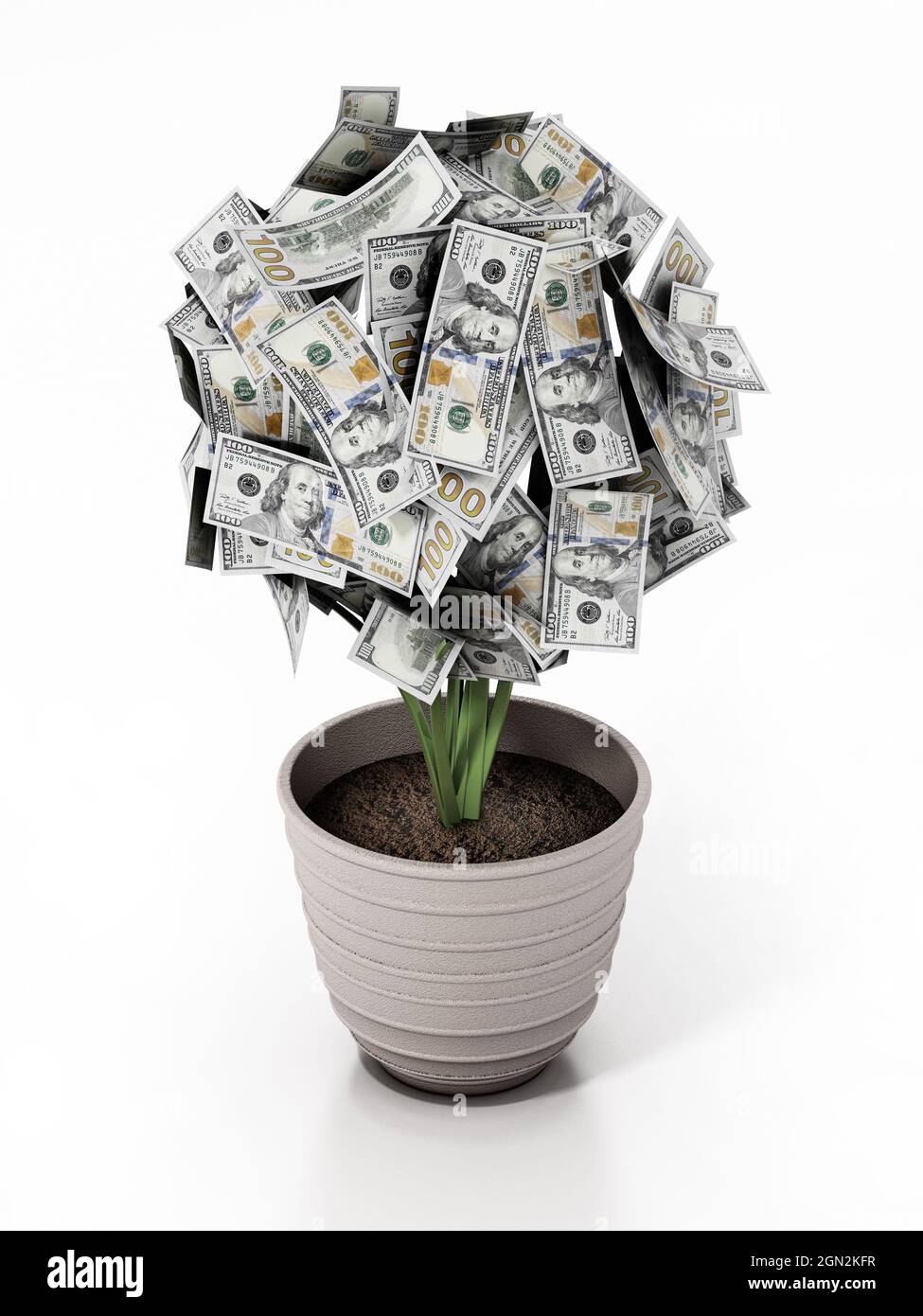 Currency plant growing dollars isolated hi res stock photography