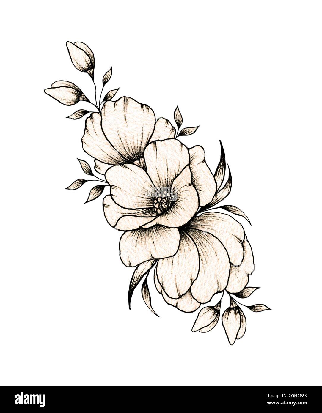 https://birthflower.tattoo/peony-birth-flower-tattoo/ Experience elega... |  TikTok