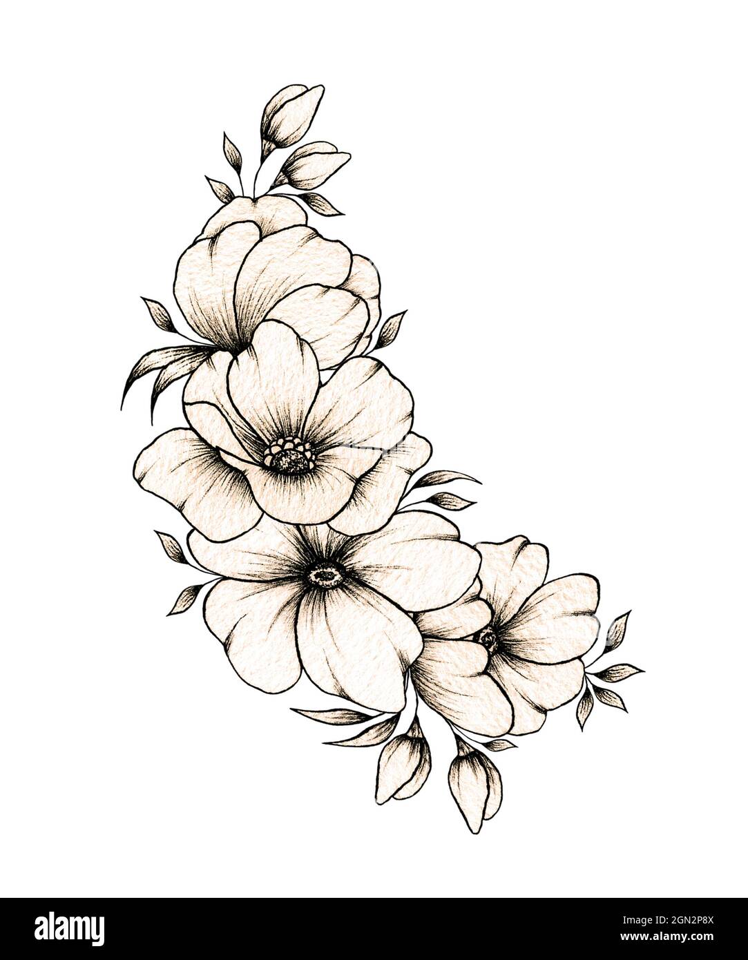 fancy flowers drawings
