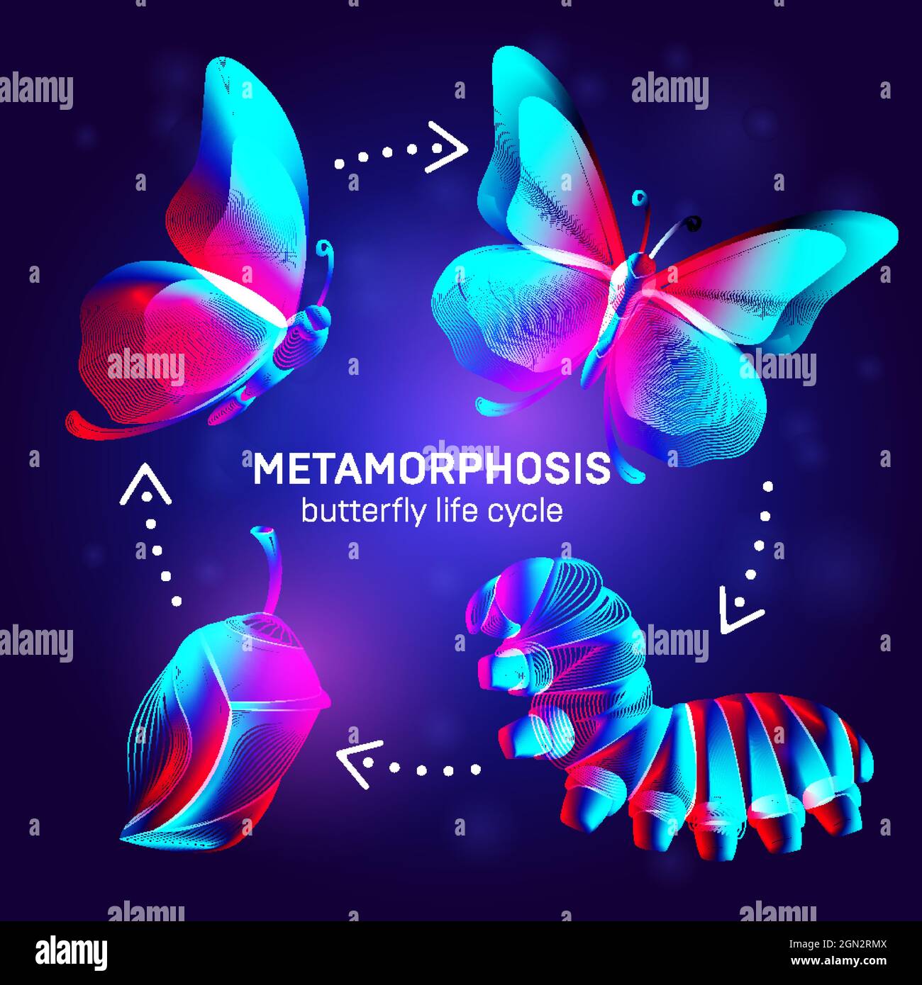 Metamorphosis concept. Butterfly life cycle banner. 3D vector illustration with abstract stereo neon silhouettes of insects - caterpillar, chrysalis a Stock Vector