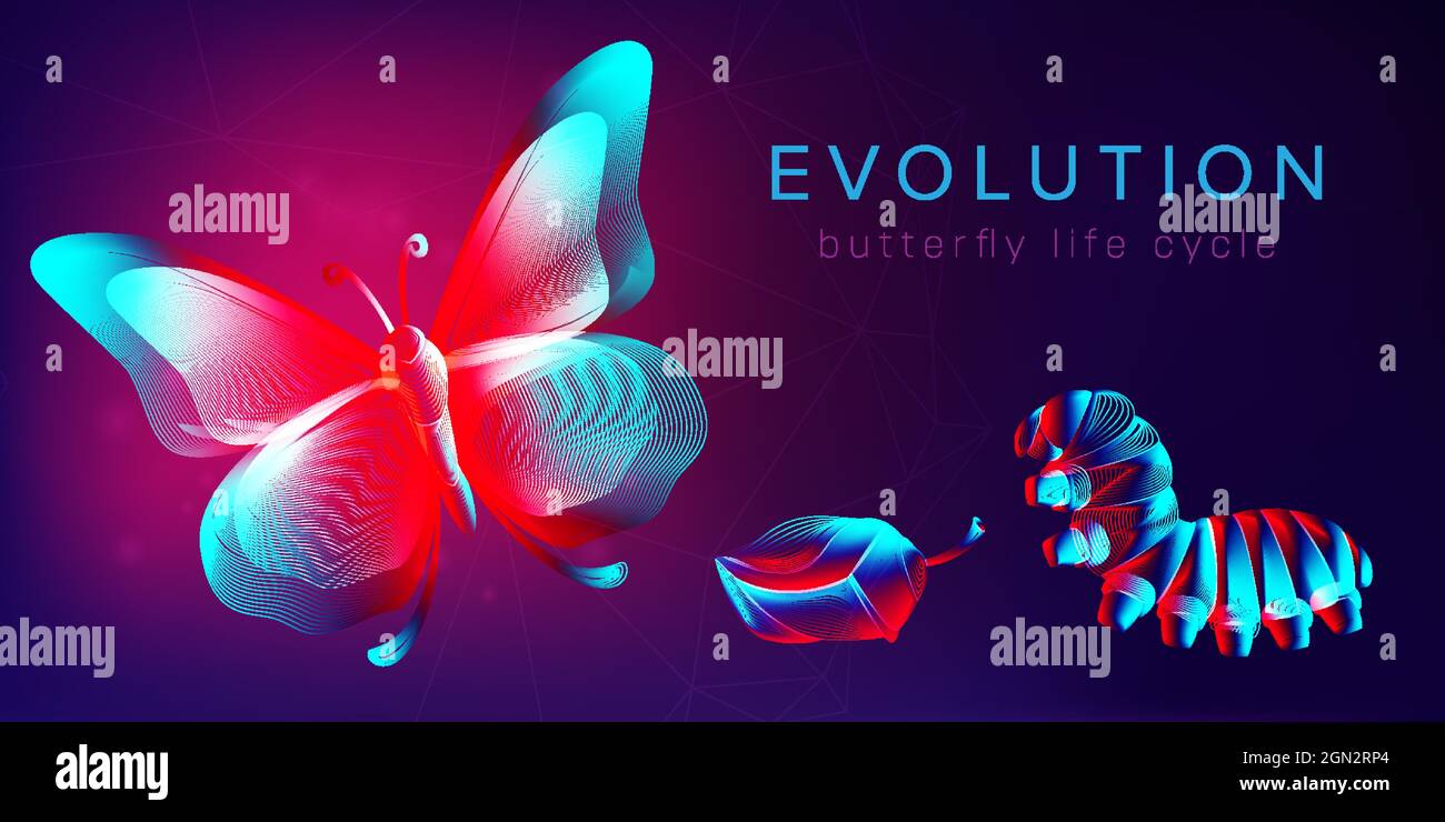 Evolution of a butterfly life cycle horizontal banner. 3D vector illustration with abstract stereo neon silhouettes of insects: caterpillar, pupa and Stock Vector