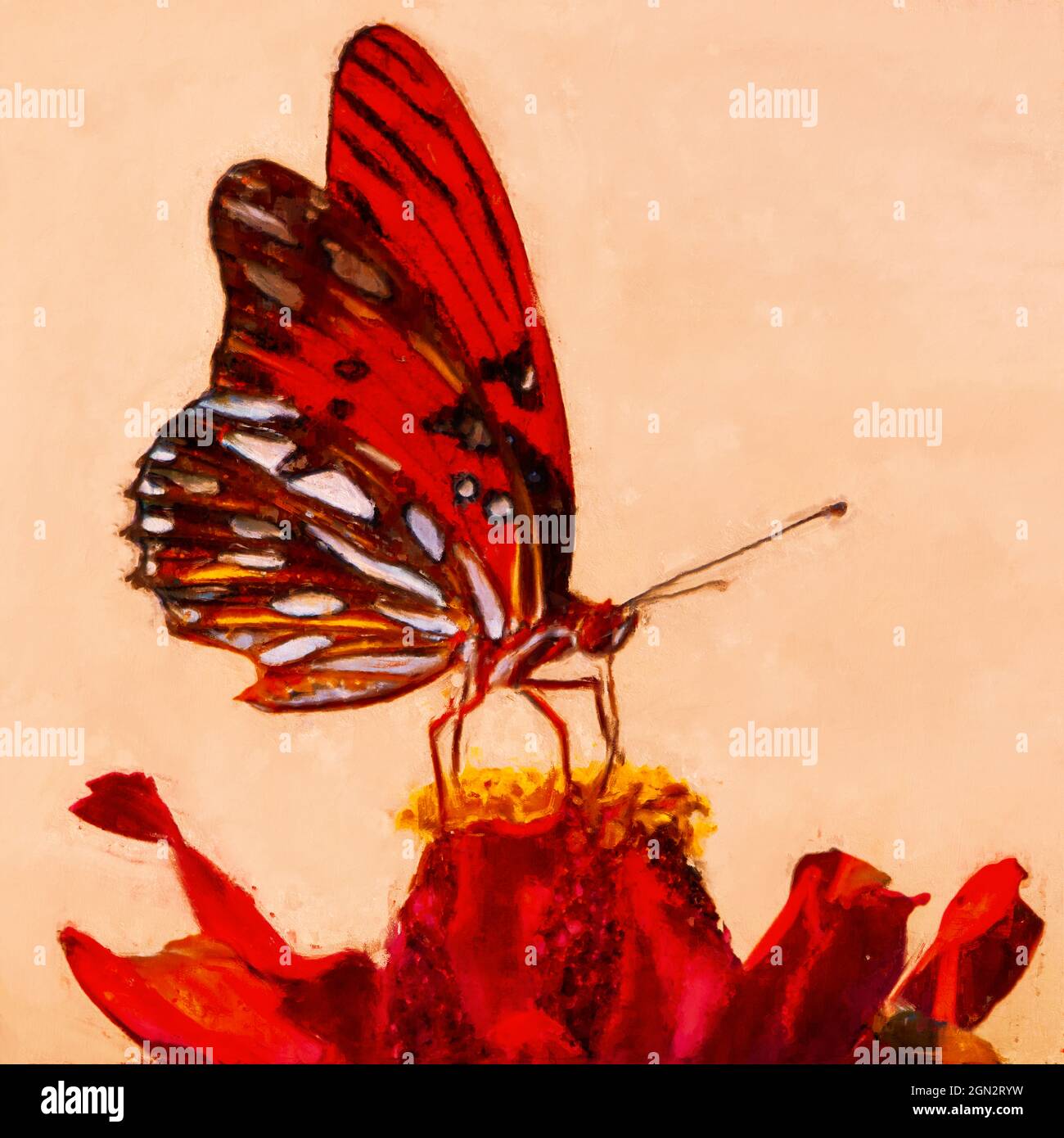 I Dreamt I Was A Butterfly Stock Photo Alamy