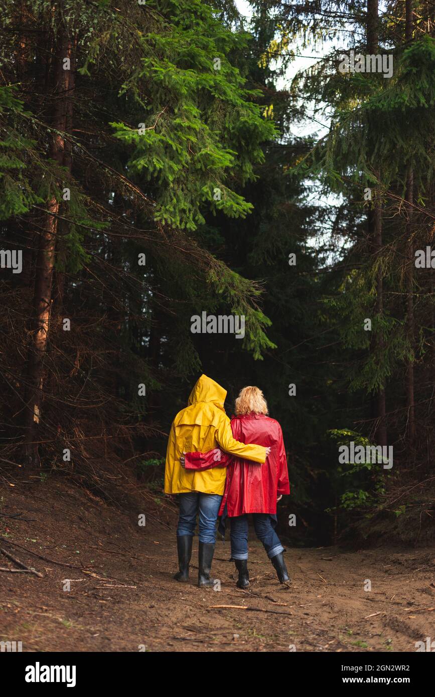 Middle age couple in red and yellow raincoats walking through evergreen  forest Stock Photo
