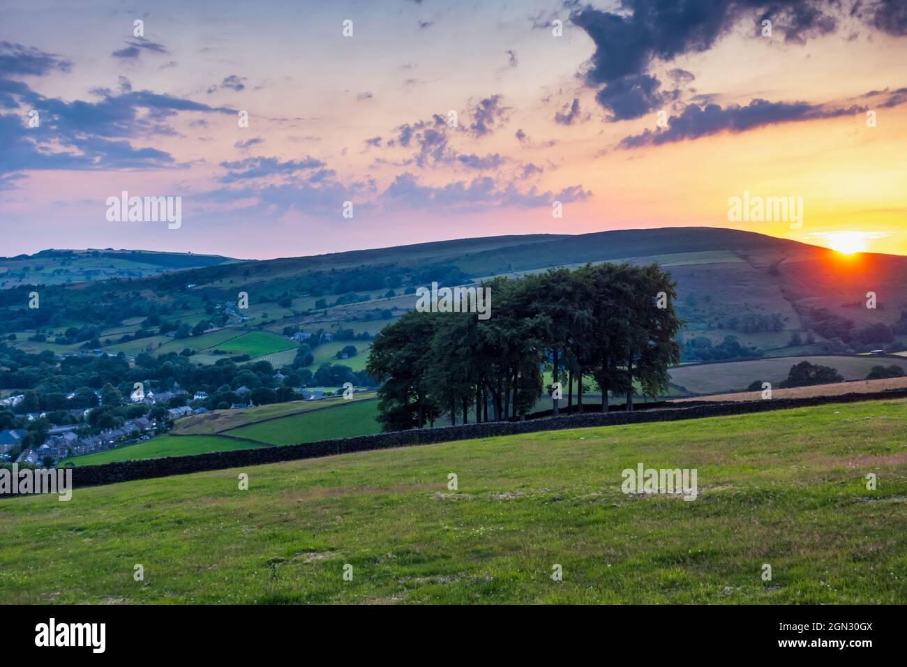 Sunset at the copse of beech trees known as ‘Twenty Trees’, a well known landmark near Hayfield in High Peak, Derbyshire, England, Uk Stock Photo