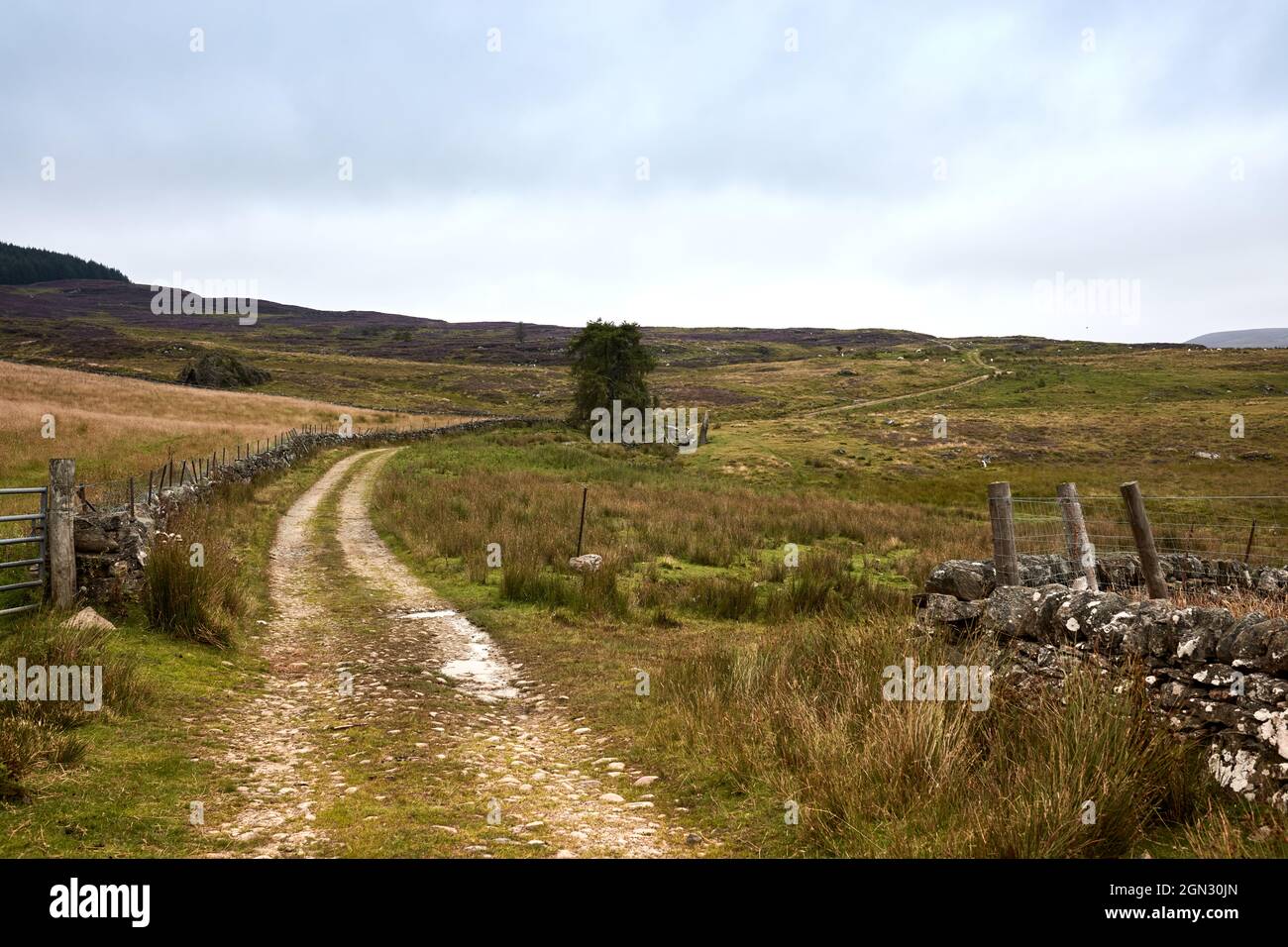 Off road track in the landscape Stock Photo